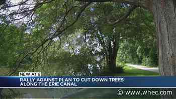 Residents rally against plan to cut down trees along the Erie Canal