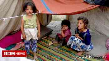 Afghanistan: UK has abandoned Afghan people, says senior MP