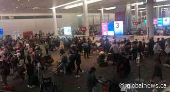 Toronto’s Pearson Airport apologizes, says numerous delays caused by increased COVID safety measures - Globalnews.ca