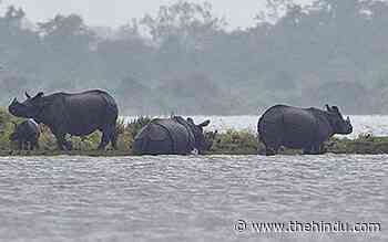 Sacred Groves CIC for restoration of forest lands near Kaziranga - The Hindu