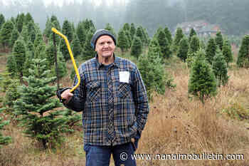 LETTER TO THE EDITOR: More woodlot licences would help BC with forest stewardship – Nanaimo News Bulletin - Nanaimo Bulletin