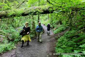 Lower Macleay Trail in Forest Park will be closed through December - OregonLive