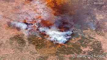 Forest Service maxed out as wildfires break across U.S. West - CP24 Toronto's Breaking News