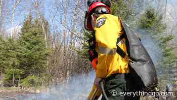 Wildfire danger level moved to very high for Grande Prairie Forest Area - EverythingGP