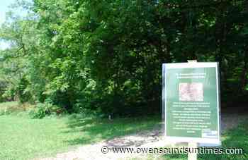 Share this Story: Owen Sound begins forest restoration project - Owen Sound Sun Times