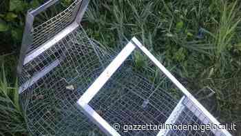Modena, un altro raid al parco Ferrari: distrutte le gabbie delle nutrie - La Gazzetta di Modena