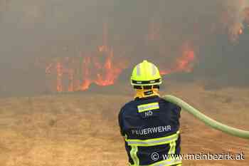 Bezirk/NÖ/Nordmazedonien: Höllentemperaturen beim Feuer am Balkan - meinbezirk.at