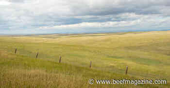 Help pastures withstand drought
