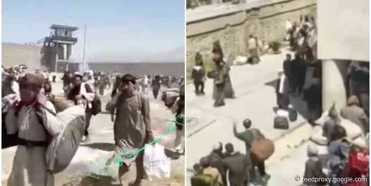 Video shows thousands of prisoners, reportedly including Islamic State and al Qaeda fighters, freed from Kabul jail by the Taliban