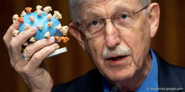 NIH Director says unvaccinated people are 'sitting ducks' as the Delta variant continues spread across the US