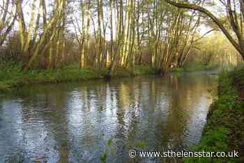 Conservation project to return Norfolk chalk stream to former glories - St Helens Star