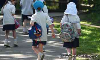 More than three million children in England 'attend schools in areas with toxic air pollution'