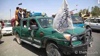 Top general warns of possible rise in terrorist threats from Taliban-run Afghanistan