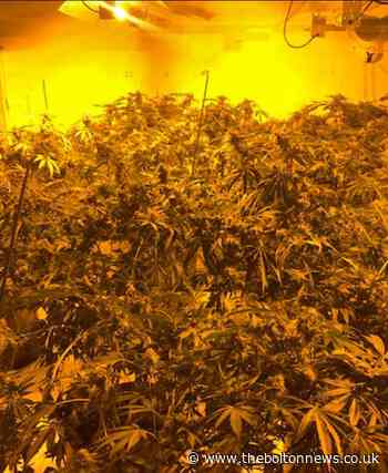 UPDATE: Police uncover huge £1m cannabis farm in Bolton town centre - The Bolton News
