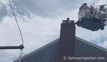 Dartmouth Fire Department responds to trapped osprey – Fall River Reporter - Fall River Reporter