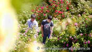 Kabarett, Zauberei, Musik und Akrobatik im Botanischen Garten in Ulm - Augsburger Allgemeine