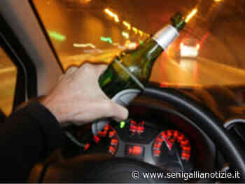 Urta veicolo fermo in sosta: ritirata la patente per guida in stato di ebbrezza - Senigallia Notizie