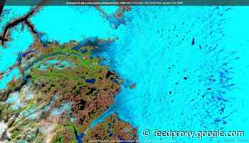 Saved by Summer Snow