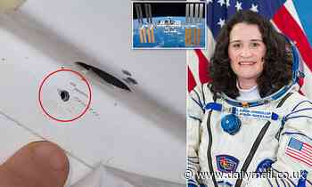 NASA hits back at Russian claims that astronaut Serena Auñón-Chancellor drilled a HOLE in the ISS