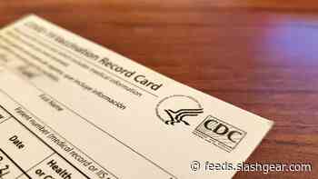 US Customs has seized thousands of fake vaccine cards from China