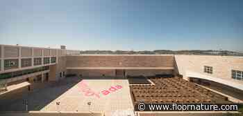 Bak Gordon Arquitectos’ Ephemeral Architecture for Centro Cultural de Belém Lisbon - Floornature.com
