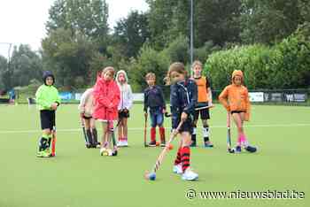 KMTHC legt drie padelvelden aan: “Maar we vergeten het tennis en hockey zeker niet”