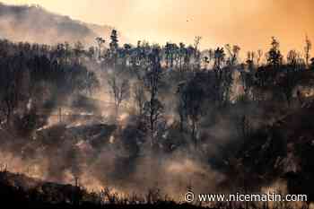 Incendies au Maroc: déjà plus de 700 hectares brûlés, la mobilisation des pompiers continue