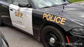 Couple jumps to safety after float plane hits canoe in Ontario lake