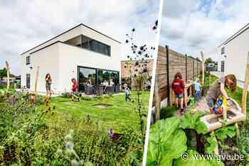 Een spelparadijs dat draait om kindvriendelijkheid: de zomertuin van Marjan en Wannes in Nijlen - Gazet van Antwerpen