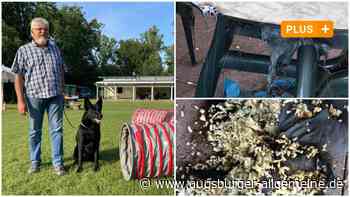 Vandalismus-Attacken auf Schäferhundeverein wecken böse Erinnerungen