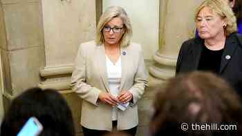 Cheney: Biden ignored military commanders' advice on Afghanistan