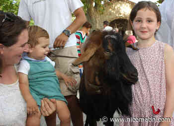 Tortue, bouquetin, chats, chiens d'aveugle : les animaux bénis de la Saint-Roch à Valbonne