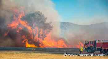 Plusieurs centaines d'hectares brulés dans l'incendie de Gonfaron, des évacuations en cours