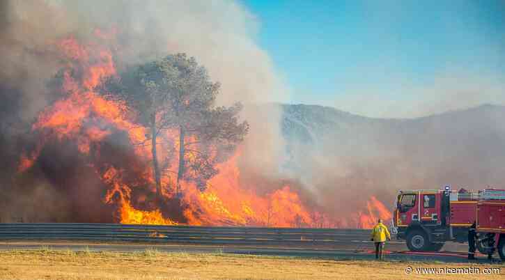 Déjà 1.200 hectares brulés dans l'incendie monstre de Gonfaron, des évacuations en cours