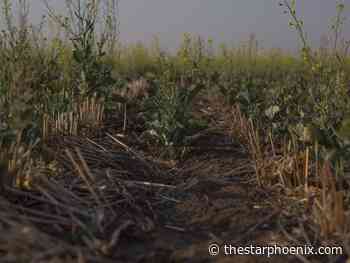 Ottawa boosts AgriRecovery to $500M