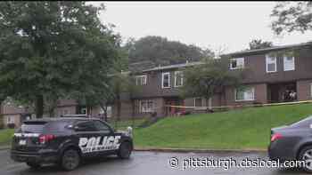 Person Hospitalized After New Castle Shooting