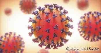 UA expert: Arizona could see 300+ coronavirus deaths a week by end of month - ABC15 Arizona