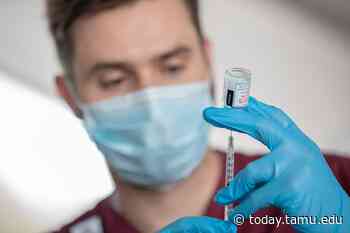 Texas A&M COVID-19 Study Expands To Houston Area - Texas A&M University Today