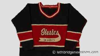 Artist faces off against homophobia with fantasy Queer Newfoundland Hockey League - Lethbridge News Now