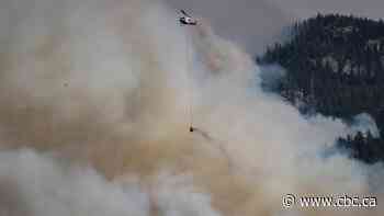 'Let the firefighters do their job' says B.C. official after evacuees stay behind, putting lives at risk