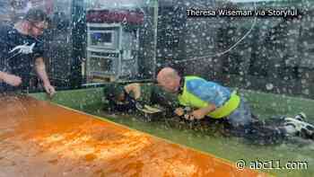 Video shows man jumping to rescue handler attacked by alligator at reptile center