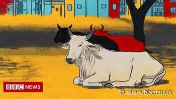 The zero-power sewage plant inspired by cows