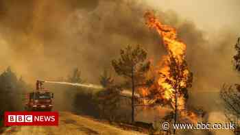 Climate change: July world's hottest month ever recorded - US agency