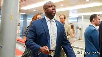 Tim Scott's inside track | TheHill - The Hill