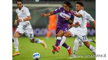 Maleh, la mezz'ala che sa fare tutto Conferma vicina: vice di Castro? - La Nazione