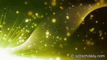 Improving Photosynthesis in Crops To Boost Yields