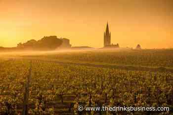 06 August 2021 Domaine Clarence Dillon buys Château Grand Pontet - The Drinks Business