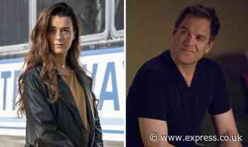 Cote de Pablo NCIS return: Will Ziva David be back for NCIS season 19 with Tony Dinozzo? - Express
