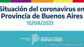 Salud. Situación Coronavirus Provincia de Buenos Aires: 15 de agosto - El Fenix Digital