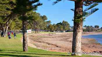 'Lies' about financial viability of SA marina led to collapse and $1 million in damages to investor